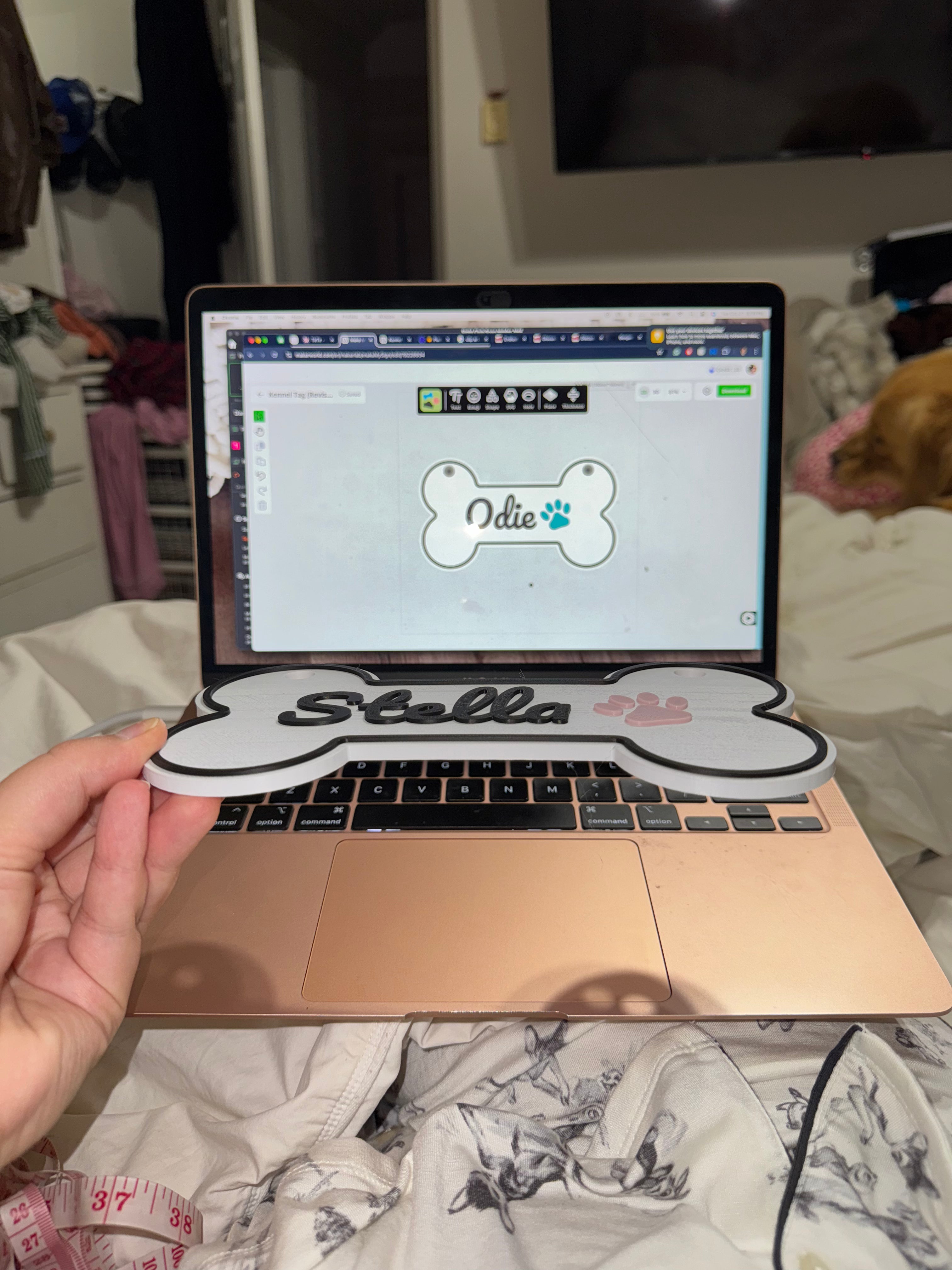 Custom Pet Name Sign