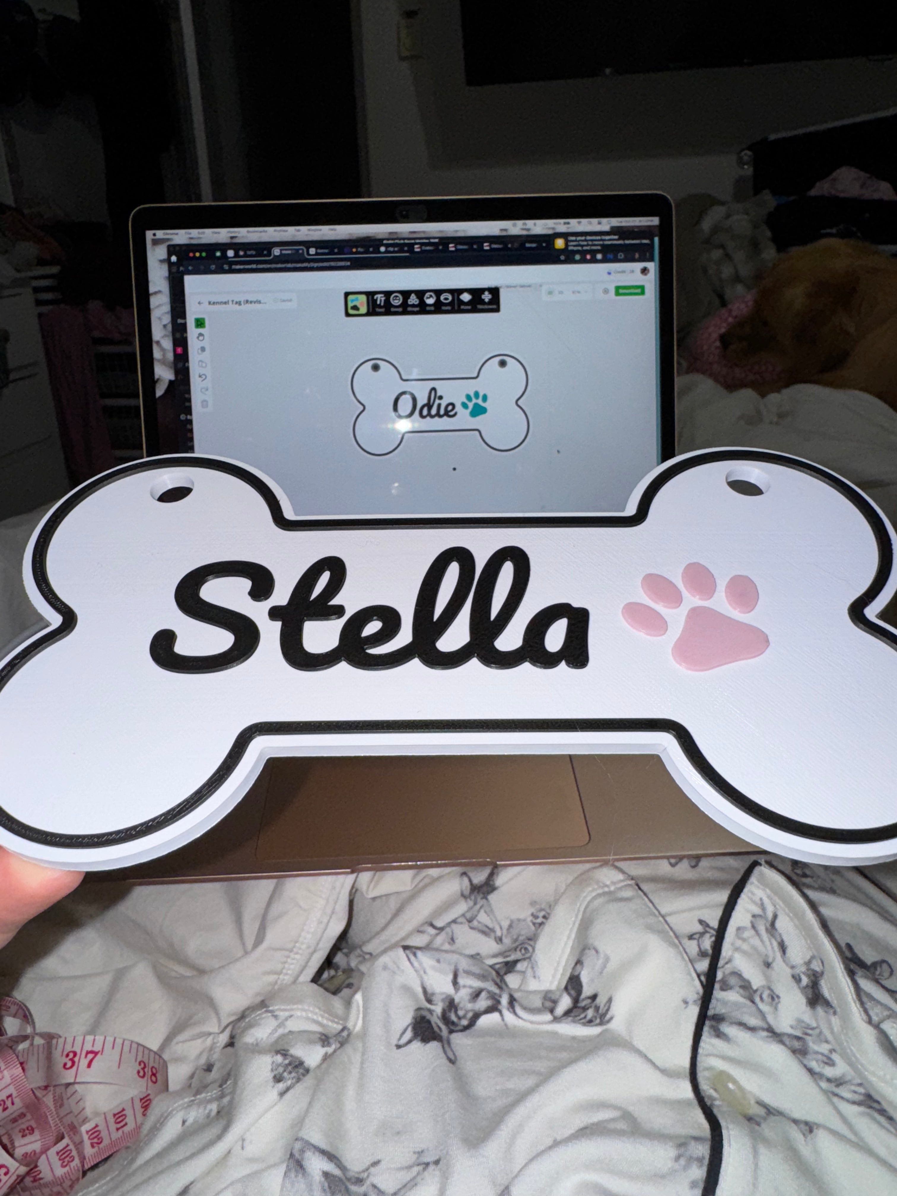 Custom Pet Name Sign