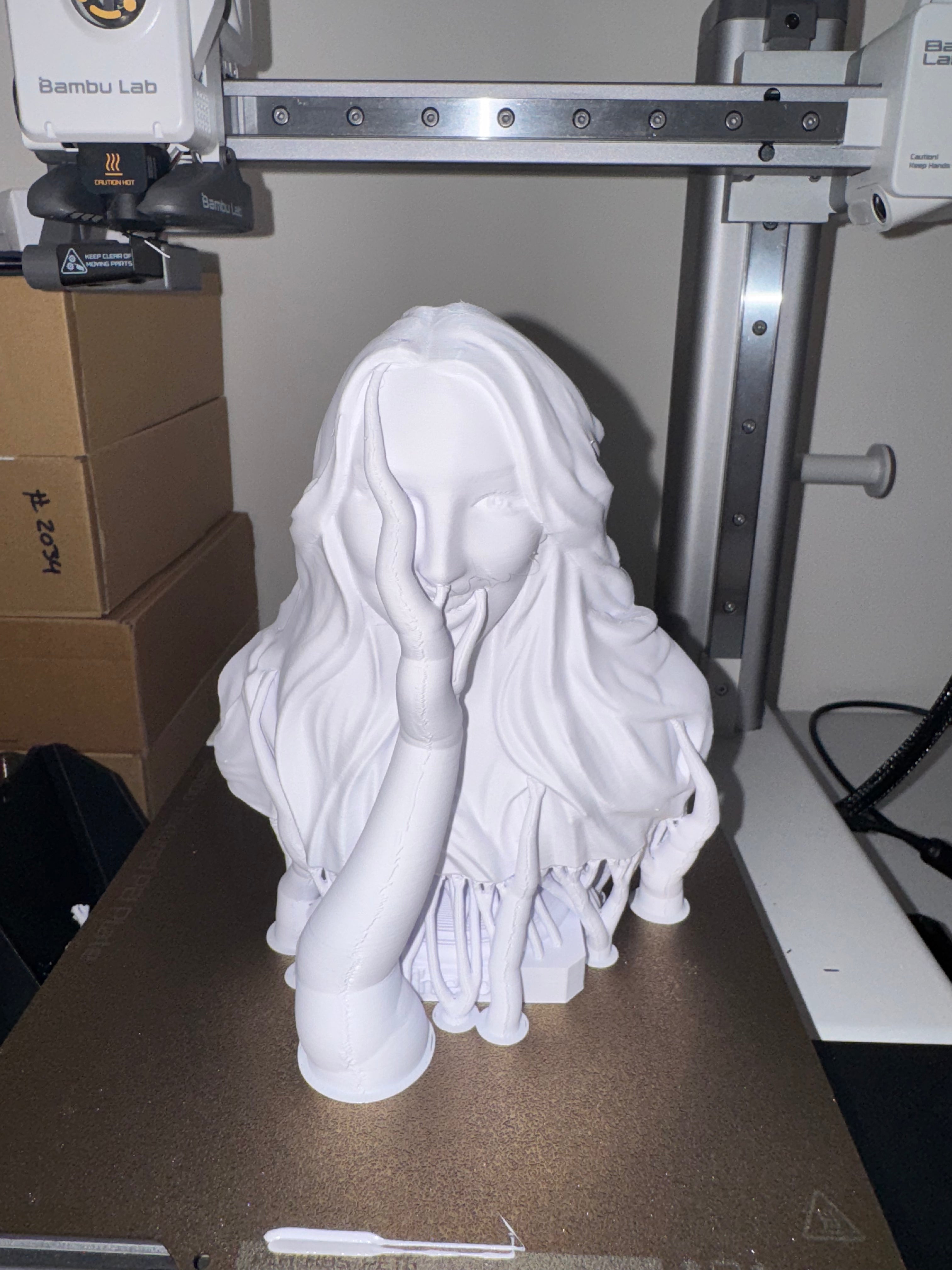 3D Printed Customized Bust Statue