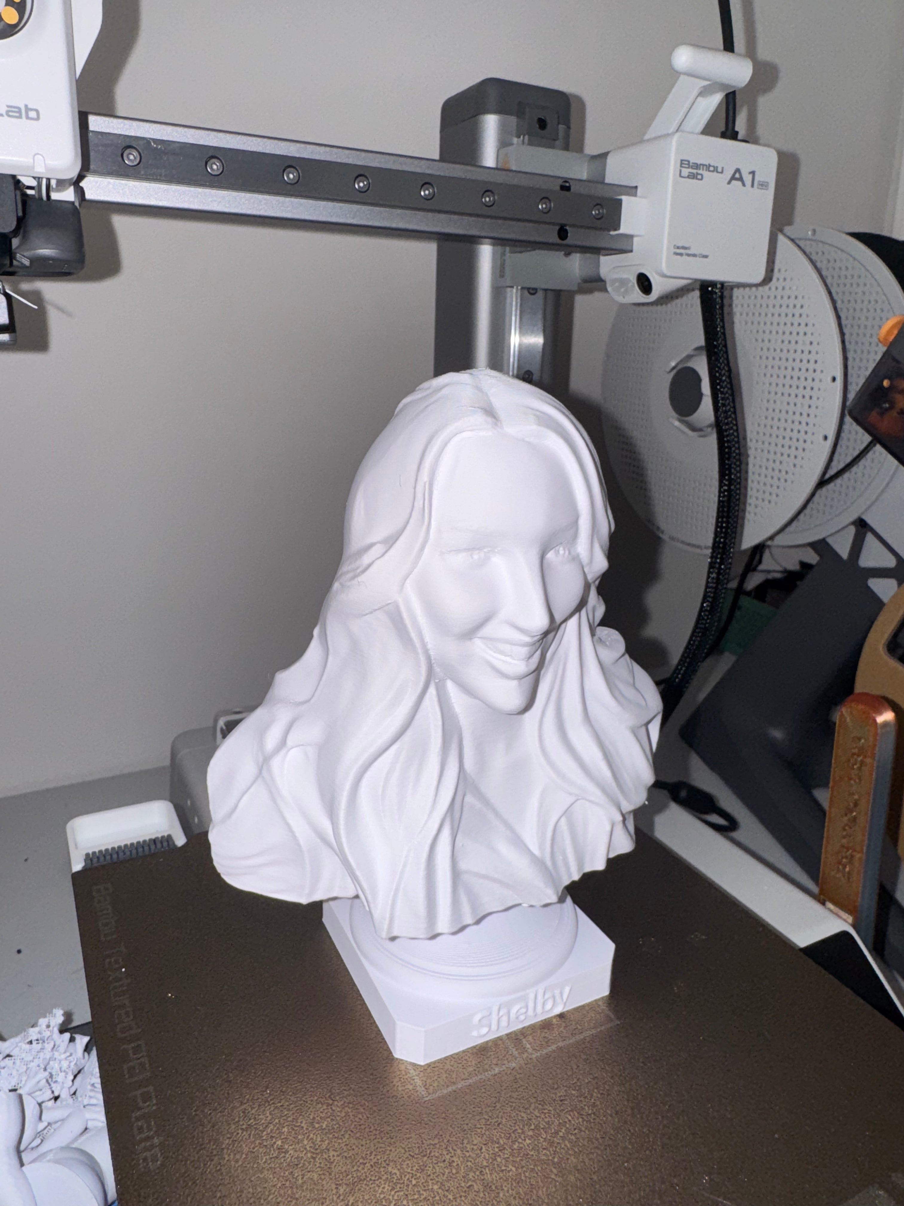 3D Printed Customized Bust Statue