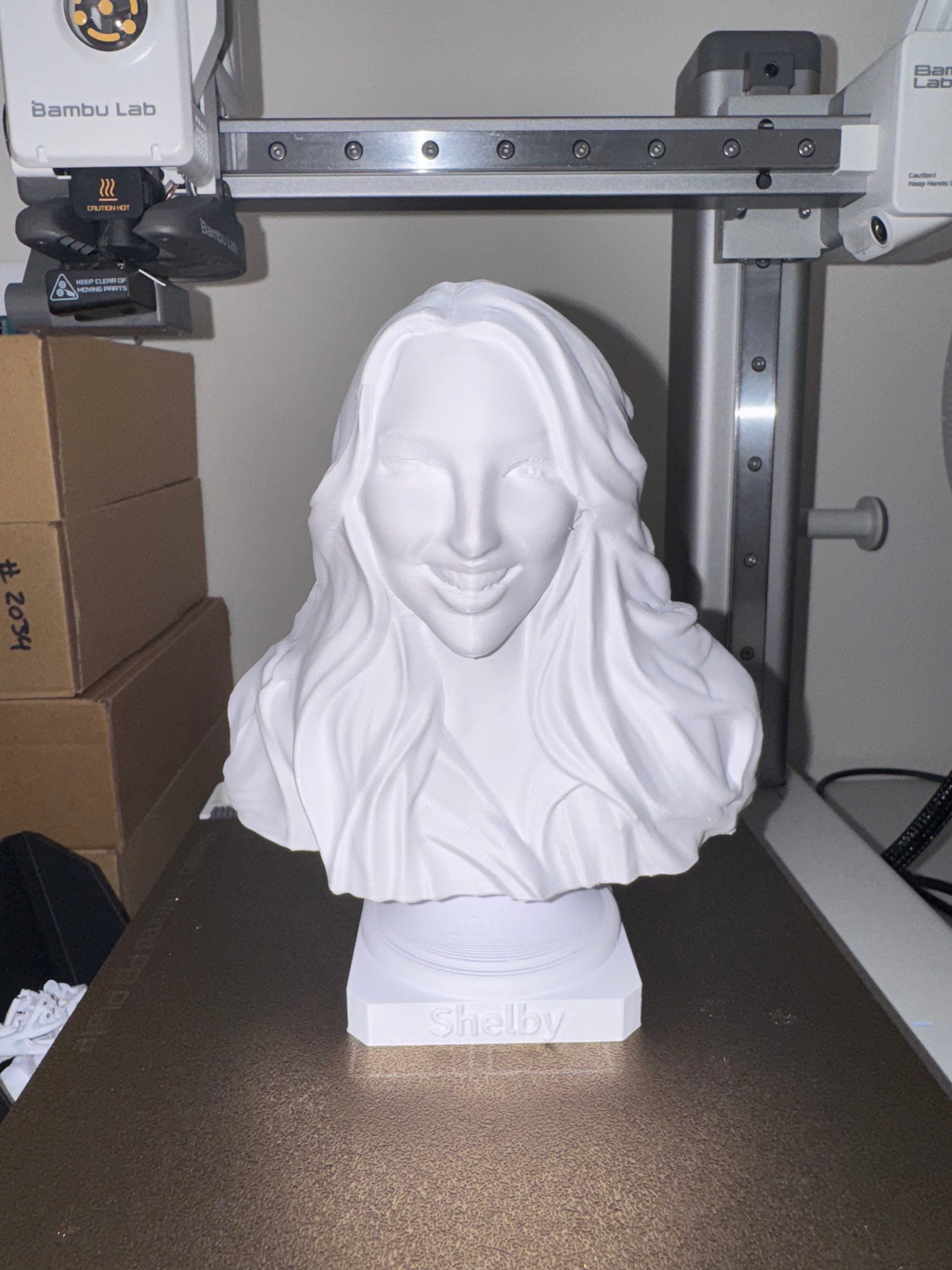 3D Printed Customized Bust Statue