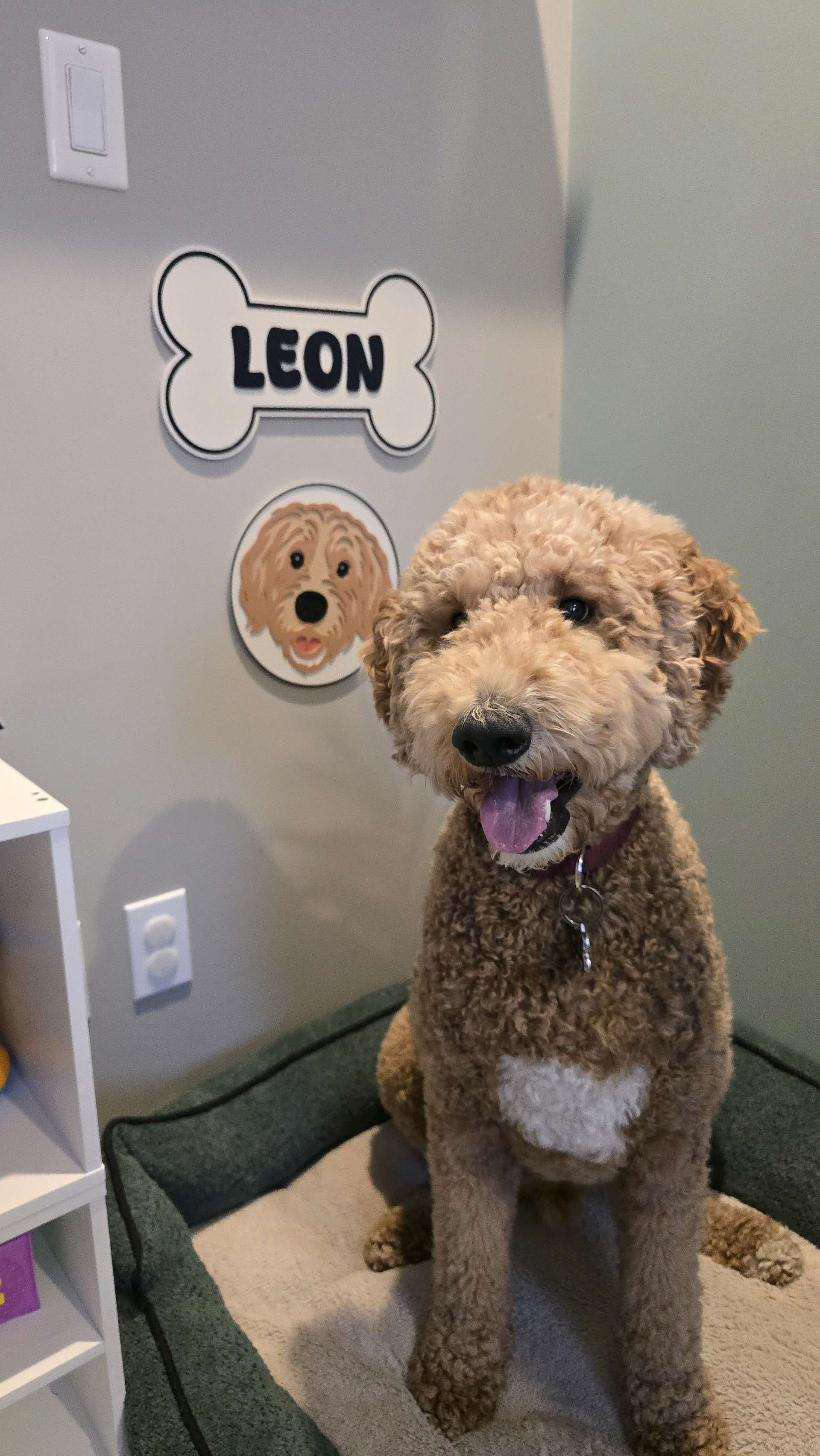 Custom Pet Name Sign