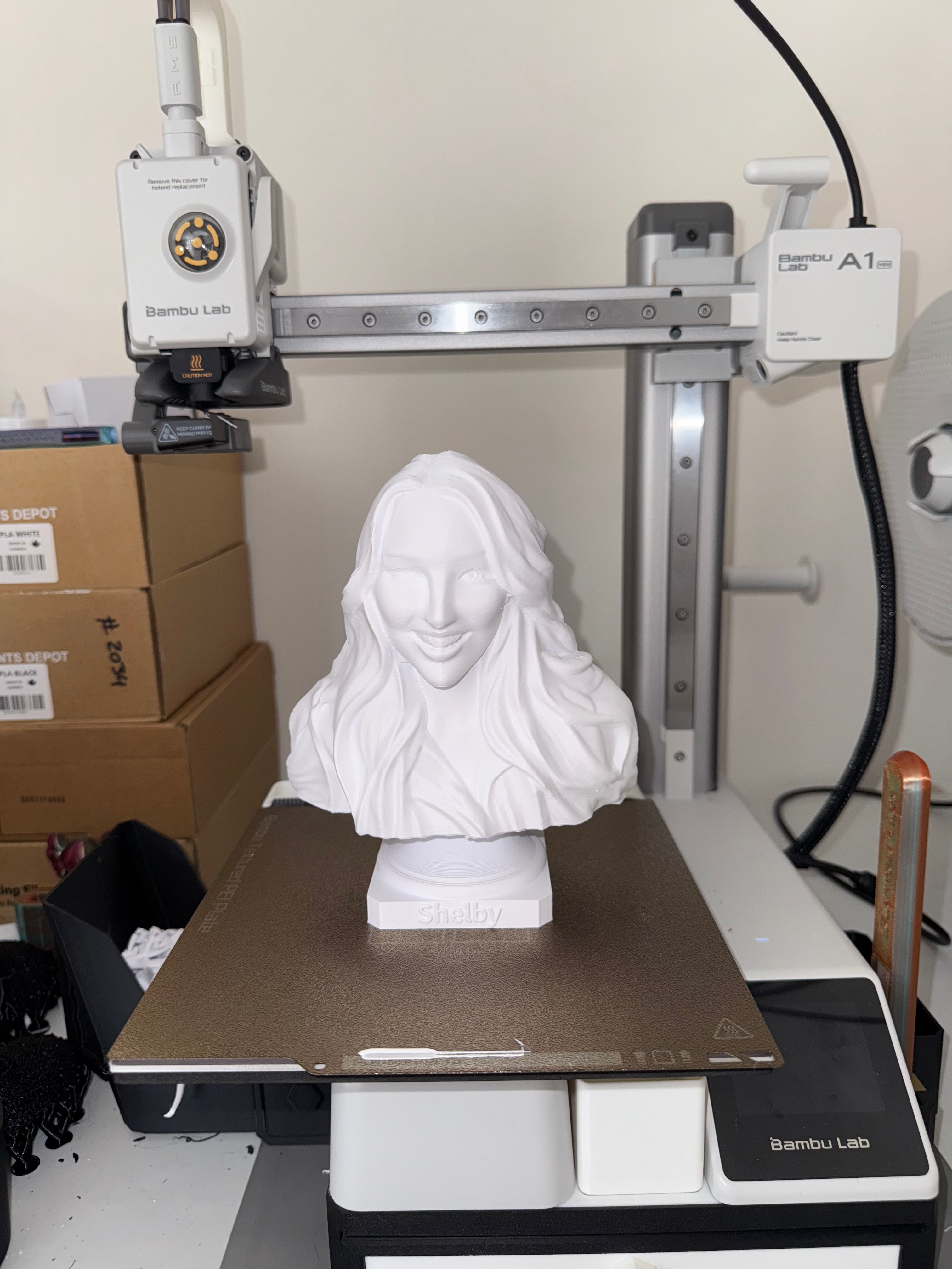 3D Printed Customized Bust Statue